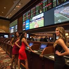 dk11 game